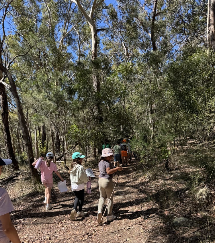 Graphic of children bushwalking